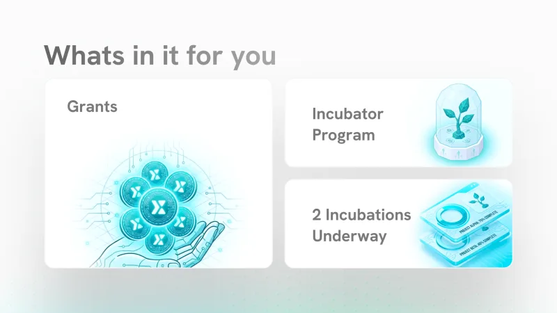 Ecosystem slide covering a grants illustration and an incubator programme with progress-bar mockups for incubations underway